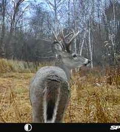 6920 County Road 8 NE Longville MN 56655