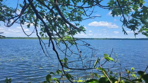 6920 County Road 8 NE Longville MN 56655
