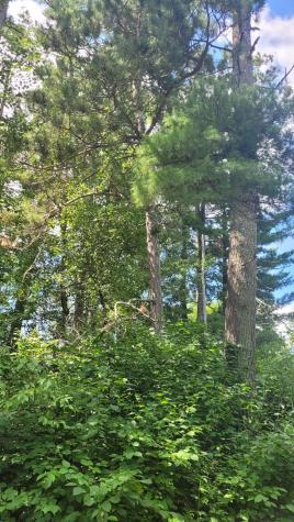 6920 County Road 8 NE Longville MN 56655
