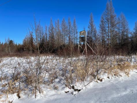 508 Cedar Valley Road Floodwood MN 55736