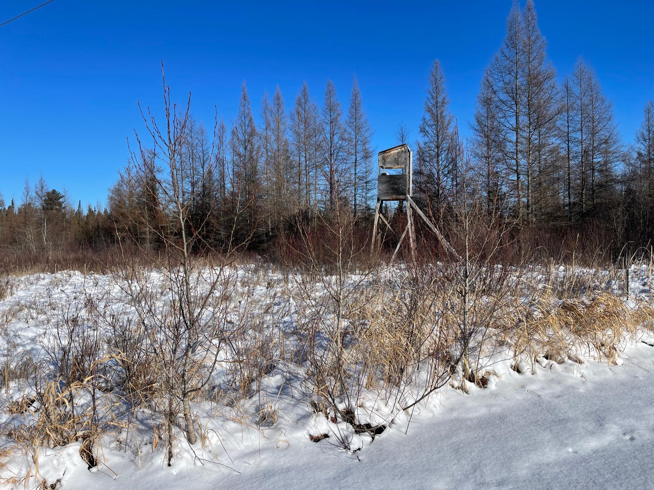 508 Cedar Valley Road Floodwood MN 55736