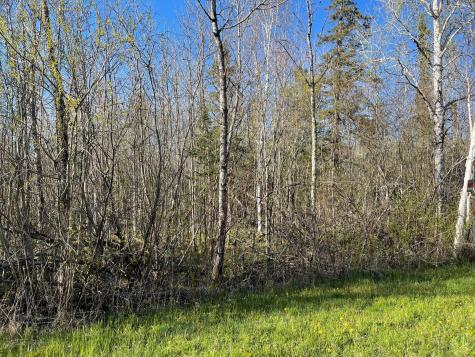 508 Cedar Valley Road Floodwood MN 55736