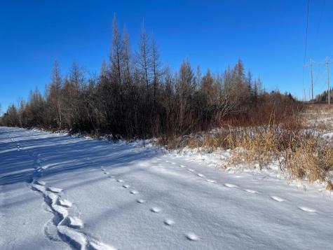 508 Cedar Valley Road Floodwood MN 55736