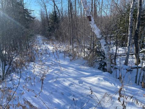 508 Cedar Valley Road Floodwood MN 55736