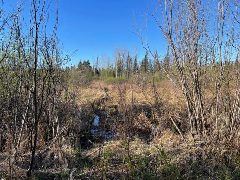 508 Cedar Valley Road Floodwood MN 55736