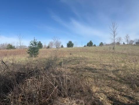 Tbd Xxx 352nd Street Chisago Lake Twp MN 55045
