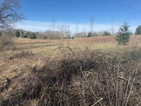 Tbd Xxx 352nd Street Chisago Lake Twp MN 55045