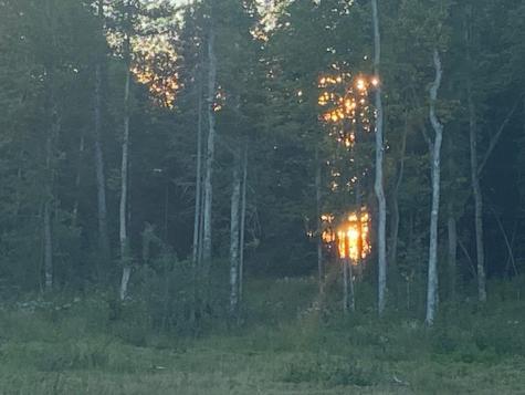 Parcel 4 Highway 23 Orr MN 55771