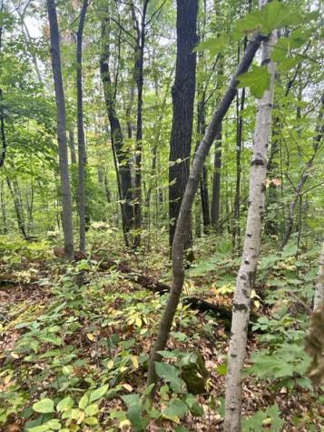 Xxx Opal Lane Cushing MN 56443