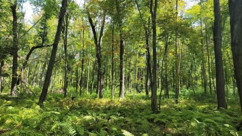 N5314 765th Street Elk Mound WI 54739