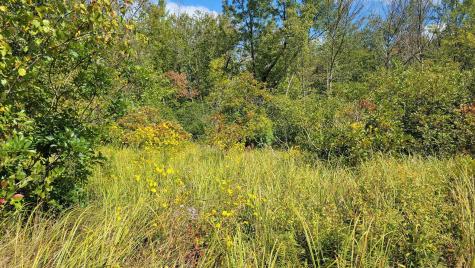 N5314 765th Street Elk Mound WI 54739