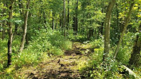 N5314 765th Street Elk Mound WI 54739