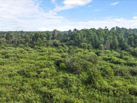 Tbd Bunnyhill Road Sebeka MN 56477