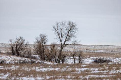 Tbd 49 St SW 212a Hebron ND 58638