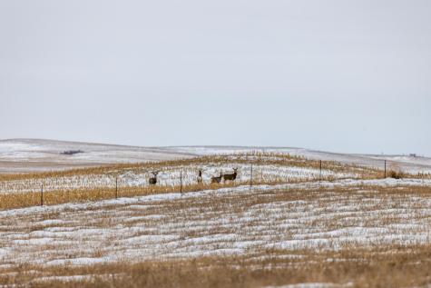 Tbd 49 St SW 212a Hebron ND 58638
