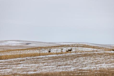 Tbd 49 St SW 212a Hebron ND 58638