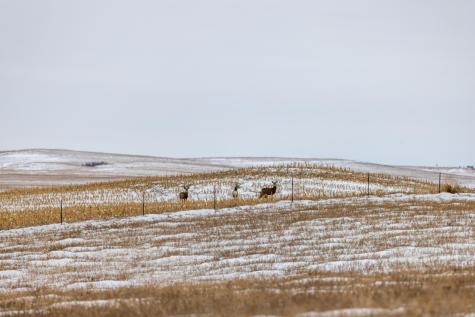 Tbd 49 St SW 212a Hebron ND 58638