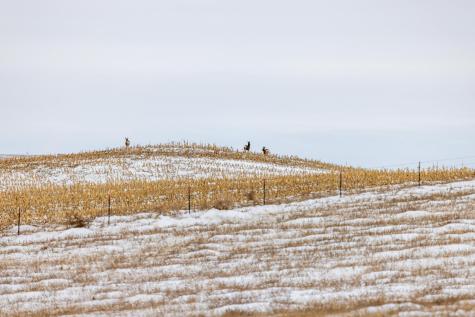 Tbd 49 St SW 212a Hebron ND 58638