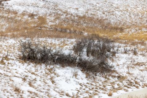 Tbd 49 St SW 212a Hebron ND 58638