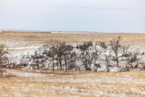 Tbd 49 St SW 212a Hebron ND 58638