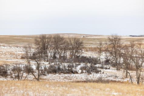 Tbd 49 St SW 212a Hebron ND 58638