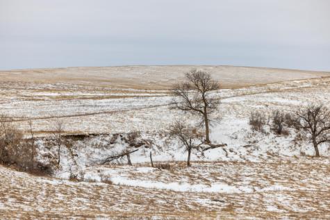 Tbd 49 St SW 212a Hebron ND 58638
