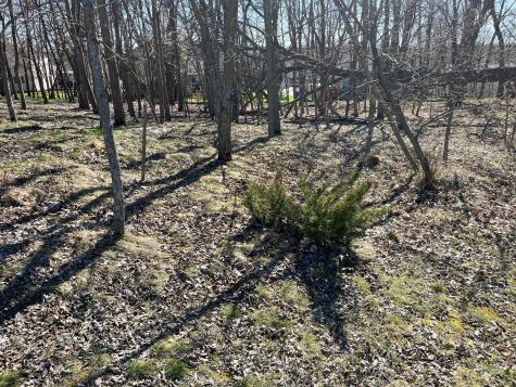 1119 Doris Kohler Circle Detroit Lakes MN 56501