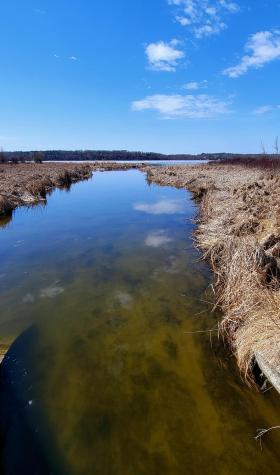 Tbd 513th Avenue E, Tract E Ottertail MN 56571
