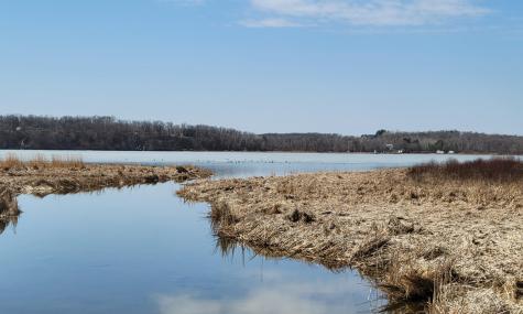 Tbd 513th Avenue E, Tract E Ottertail MN 56571