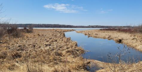 Tbd 513th Avenue E, Tract E Ottertail MN 56571