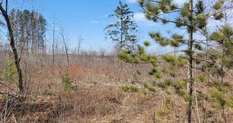 Tbd 513th Avenue E, Tract E Ottertail MN 56571