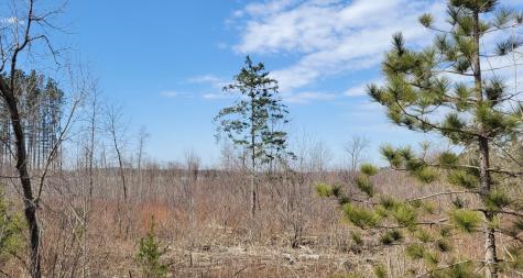 Tbd 513th Avenue E, Tract E Ottertail MN 56571