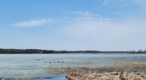 Tbd 513th Avenue E, Tract E Ottertail MN 56571