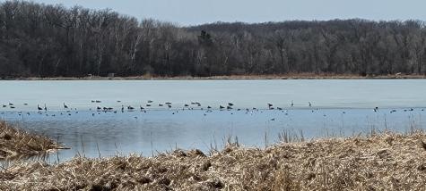 Tbd 513th Avenue E, Tract E Ottertail MN 56571