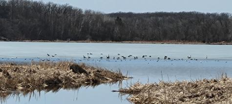 Tbd 513th Avenue E, Tract E Ottertail MN 56571