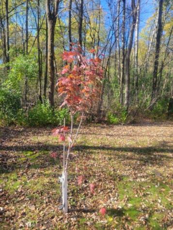 24733 Crooked River Road Pine City MN 55063