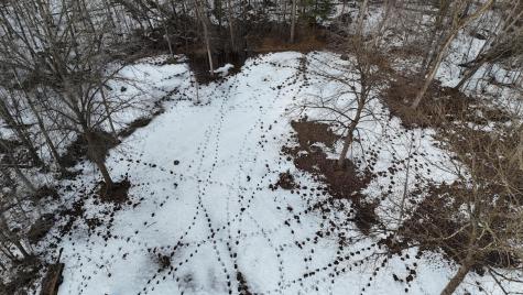24733 Crooked River Road Pine City MN 55063
