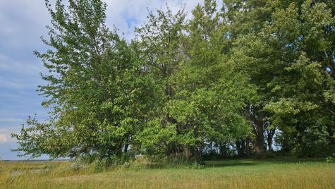 4680 NW 66th Street Medford MN 55049