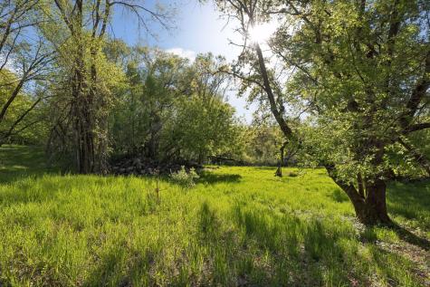 3 Sunfish Lane Sunfish Lake MN 55118