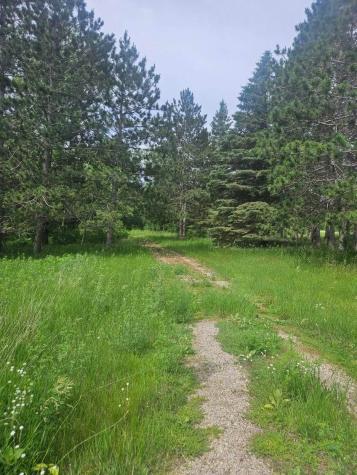 44985 400th Avenue Perham MN 56573