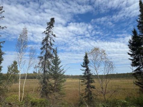 Parcel 13 Tbd Highway 115 Tower MN 55790
