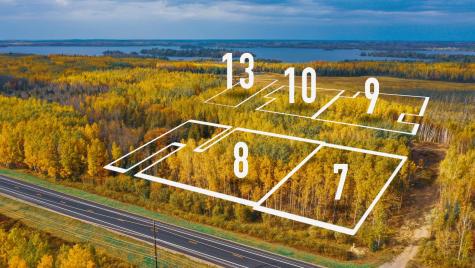 Parcel 13 Tbd Highway 115 Tower MN 55790