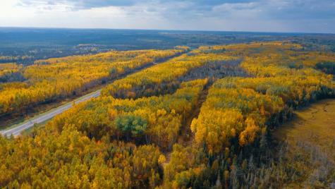 Parcel 13 Tbd Highway 115 Tower MN 55790