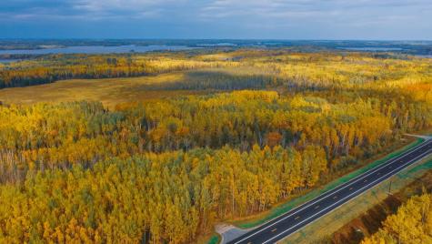 Parcel 13 Tbd Highway 115 Tower MN 55790
