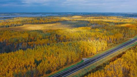Parcel 13 Tbd Highway 115 Tower MN 55790