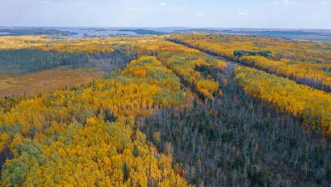 Parcel 13 Tbd Highway 115 Tower MN 55790