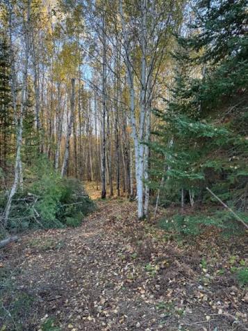 Parcel 13 Tbd Highway 115 Tower MN 55790