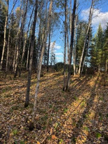 Parcel 13 Tbd Highway 115 Tower MN 55790