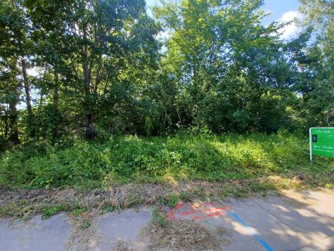 38XXX Oakview Avenue North Branch MN 55056