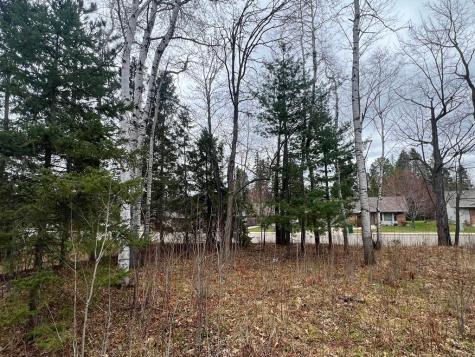 Tbd 3rd Avenue SW Grand Rapids MN 55744